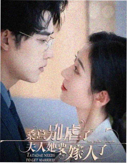 韩剧汉江谜案海报
